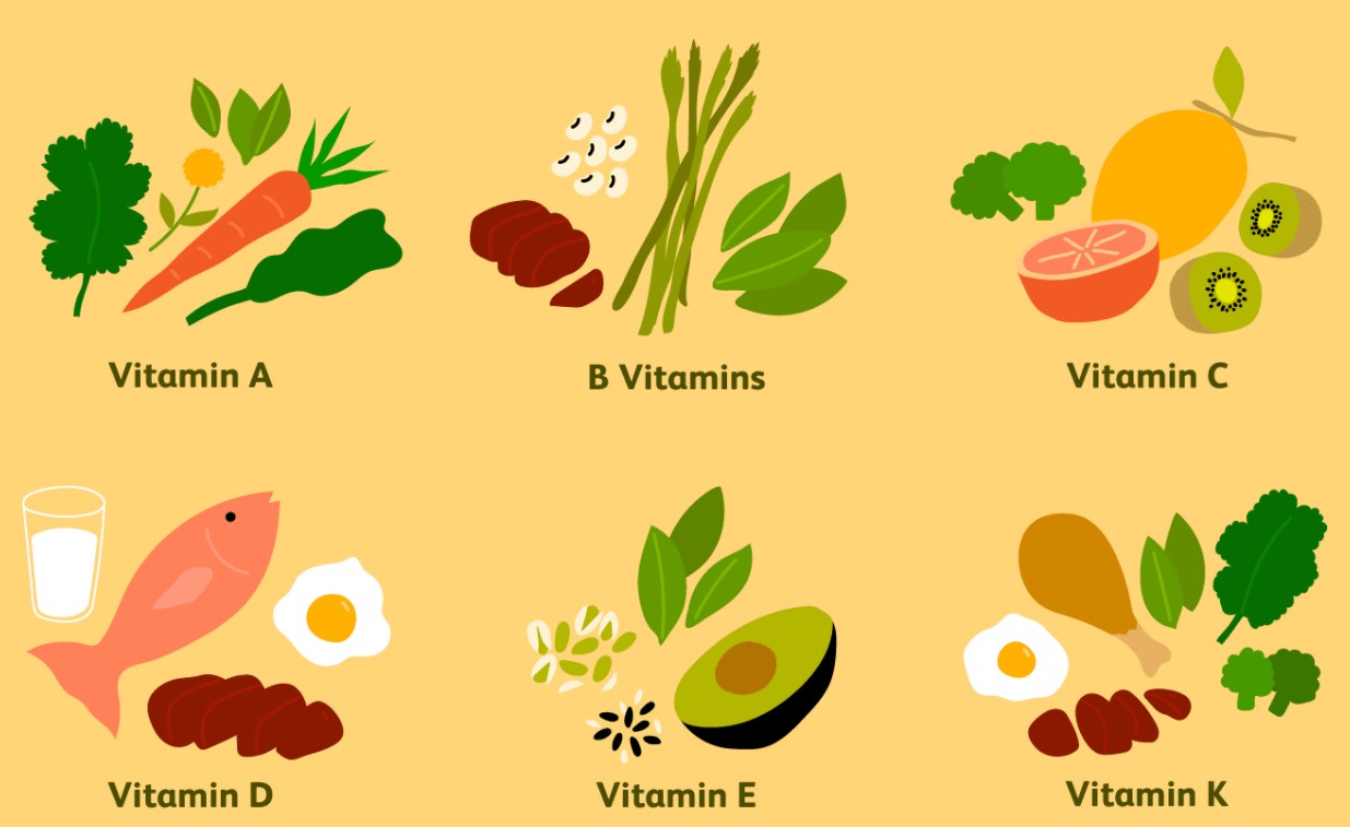Vitaminler Ve Özellikleri